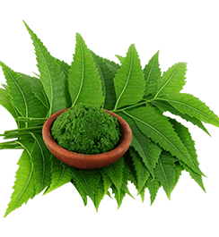 SPS-Organics-India-Pvt-Ltd