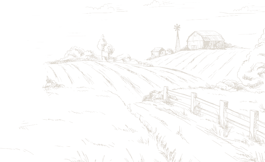 SPS-Organics-India-Pvt-Ltd