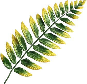 SPS-Organics-India-Pvt-Ltd