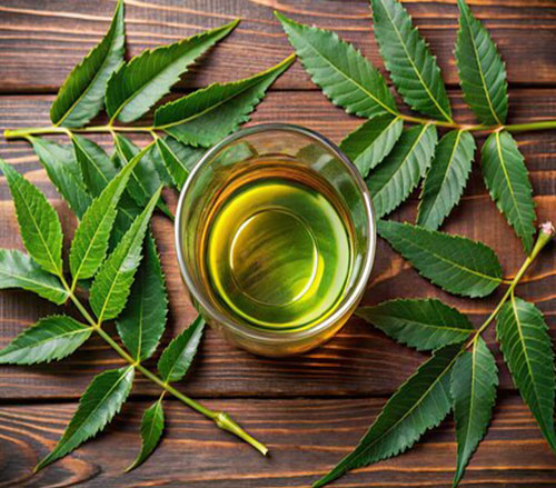 SPS-Organics-India-Pvt-Ltd