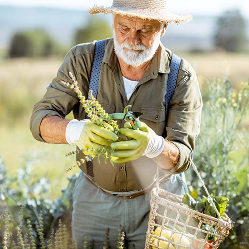 SPS-Organics-India-Pvt-Ltd