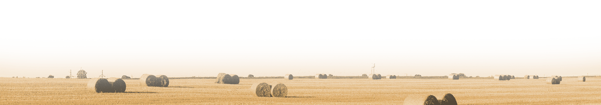 SPS-Organics-India-Pvt-Ltd