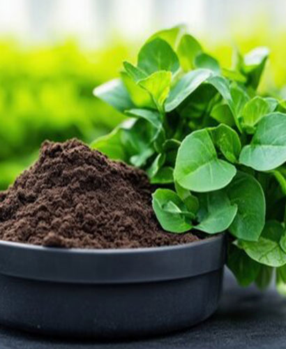 SPS-Organics-India-Pvt-Ltd