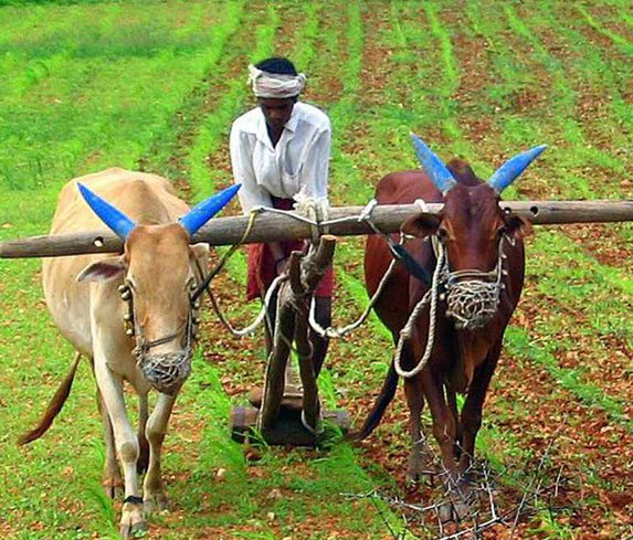 SPS-Organics-India-Pvt-Ltd