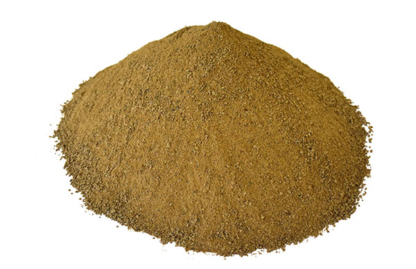 PUNGAM-POWDER