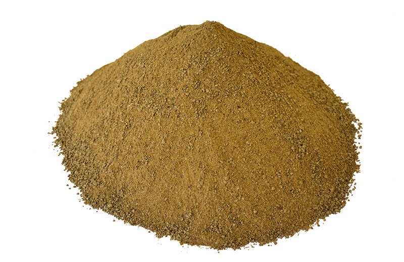 PUNGAM POWDER